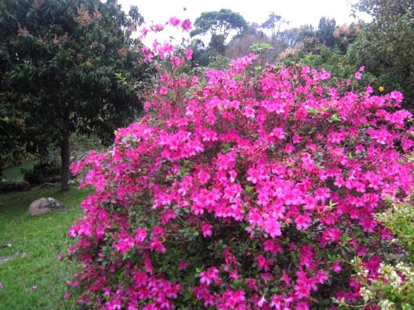 Pousada Sitio Dos Tucanos Florianópolis Екстериор снимка
