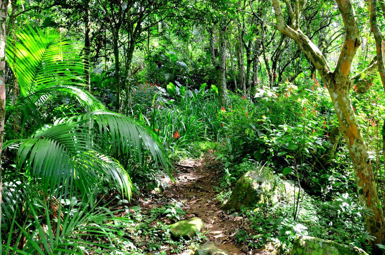 Pousada Sitio Dos Tucanos Florianópolis Екстериор снимка